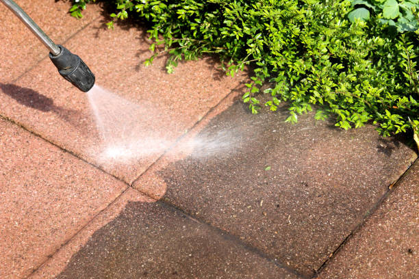 Best Residential Pressure Washing in , MI